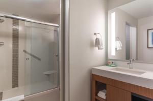 德斯坦Hyatt Place Sandestin at Grand Blvd的带淋浴和水槽的浴室