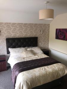 Photo de la galerie de l'établissement Castle Corrigs House, à Newcastle