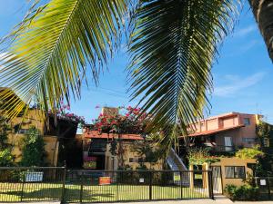 a palm tree in front of some buildings at Apartamentos Condominio a Beira Mar in Cabo de Santo Agostinho