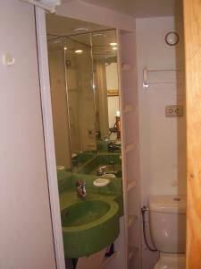 baño con lavabo verde y aseo en Domek w Borkowie, en Borkowo