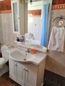 a bathroom with a sink and a toilet and a mirror at Sotiris Idyllic Garden House in Kalabaka +51 photos