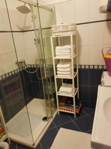 ein Bad mit einer Dusche und einem Handtuchhalter in der Unterkunft Cozy apartment in Rovinj in Rovinj