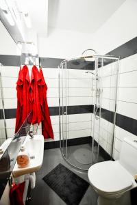 Vonios kambarys apgyvendinimo įstaigoje Borálom Stúdió Apartman Tokaj
