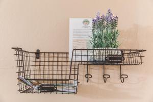 Foto sihtkohas Isabela asuva majutusasutuse Eden's Garden galeriist