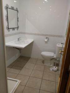 uma casa de banho com um lavatório e um WC em PENSIÓN PEÑA em Burgos