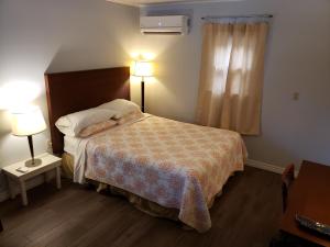 Postel nebo postele na pokoji v ubytování Pinecone Motel