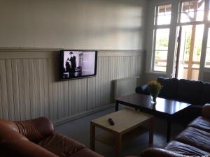 TV a/nebo společenská místnost v ubytování Ronneby Brunnspark Vandrarhem och B&B