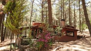 a small house in the woods with flowers at Cabañas tapalpa Sierra del Tecuan, Cabaña Tejón in Tapalpa