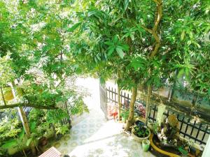 Zahrada ubytování Xanh Lá Homestay Hội An