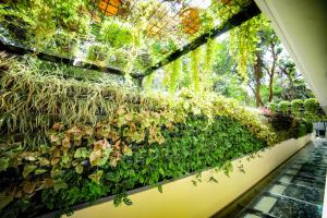 Afbeelding uit fotogalerij van Hotel Villa Maryam in Kozhikode