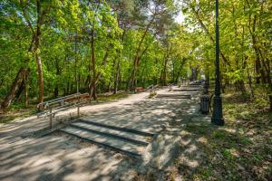 Príroda v okolí apartmánu