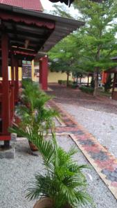 En have udenfor Challet Chengal