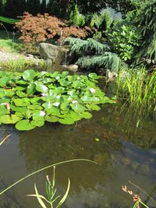 Un jardín fuera de Garni Weghueb