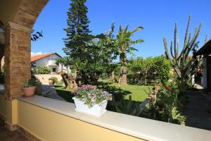 O grădină în afara Alex Studios & Apartments