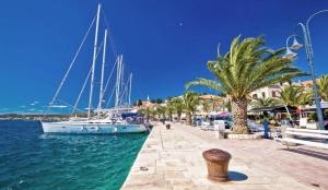 a group of boats docked at a marina with palm trees at Apartments Kolak in Rogoznica