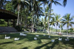 Vrt pred nastanitvijo Puri Asri Hotel & Resort