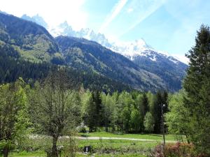 a field with trees and mountains in the background at Crêmerie Balmat in Chamonix