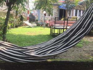 Taman di luar Hotel Fishtail Villa