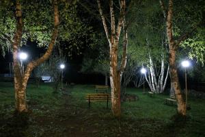 Κήπος έξω από το Kazbegi cottages qabarjina