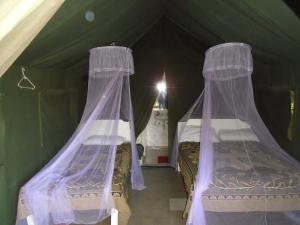 two beds in a green tent with mosquito nets at Rhino Tourist Camp in Ololaimutiek