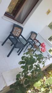 2 chaises et une plante sur la terrasse dans l'établissement Hotel Riverside, à Dalyan