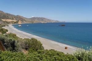 Blick auf den Strand mit dem Meer in der Unterkunft Theaktis Homes in Kaloi Limenes