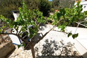 A garden outside Theaktis Homes