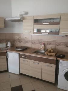 eine Küche mit einer Spüle und einer Waschmaschine in der Unterkunft Next door Apartment in Budapest