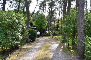 a dirt road leading to a house with trees at La Ventarrón in Mar de las Pampas