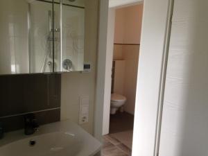łazienka z umywalką, prysznicem i toaletą w obiekcie Birnbacher-appartement w mieście Sankt Veit im Pongau +21 zdjęć