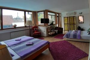 TV a/nebo společenská místnost v ubytování Hostel Pansion Lion
