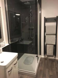 un bagno con doccia, lavandino e WC di Blue Sky Cottage a Matlock