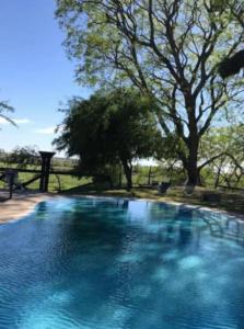 una grande piscina blu con alberi sullo sfondo di APART CLUB San Pedro Río Naturaleza y Relax a San Pedro