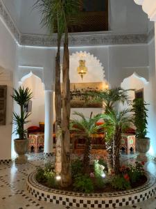 um átrio com árvores e plantas num quarto em Riad Abaka hotel & boutique em Marraquexe