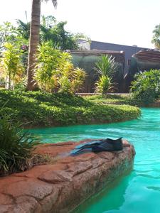 A piscina localizada em Divino Lugar ou nos arredores