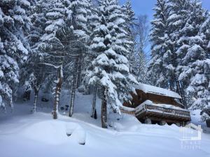 une forêt enneigée avec des arbres enneigés et un piano dans l'établissement Le Mazot de la Fis, à Chamonix-Mont-Blanc