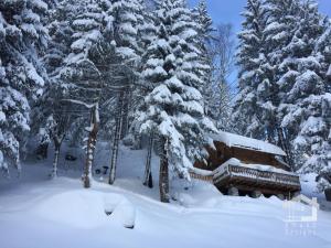 a snow covered forest with snow covered trees and a piano at Le Mazot de la Fis in Chamonix-Mont-Blanc