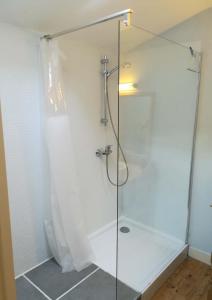 een douche met een glazen deur in de badkamer bij Garros in Fronsac