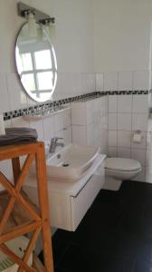 a bathroom with a sink and a toilet and a mirror at Ferienhof Kolauerhof - Bauernhofurlaub in Grömitz in Grömitz
