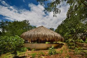 a hut with a straw roof on a field at Hotel Waya Guajira in Albania