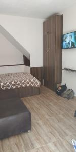 巴统Apartment Gorgasali_57的一间卧室配有一张床、一个橱柜和一台电视