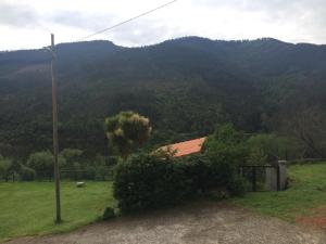 a house in a field with a mountain in the background at MRZ Rentals San Martín de Luiña in San Martín de Luiña