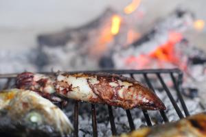 a piece of meat is cooking on a grill at Holiday Home Petar in Drage