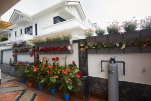 Fotografie z fotogalerie ubytování Ahn-Yi Residence v destinaci Brinchang