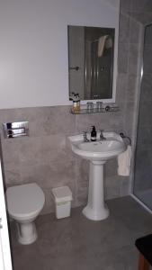 a bathroom with a sink and a toilet at Achintee Farm Guest House in Fort William