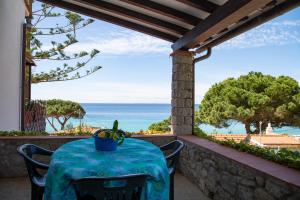 Táj Show holiday homes közelében
