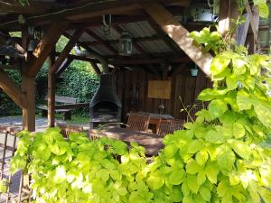 Vonkajšia záhrada v ubytovaní Domek Pod Gruszą