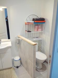 een badkamer met een toilet en een wastafel bij Studio neuf tout confort très calme in Beuvrages