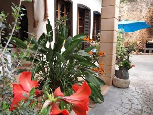 Foto de la galería de Hotel Segles - Turismo de Interior en Campos