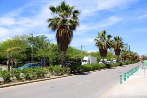 バレンシアにあるApartamento Privado Próximo a Playa y Cienciasの道路脇のヤシの木が並ぶ通り